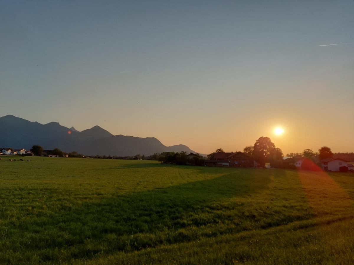 Ferienhof Oberhuber 斯陶达奇格达赫 外观 照片